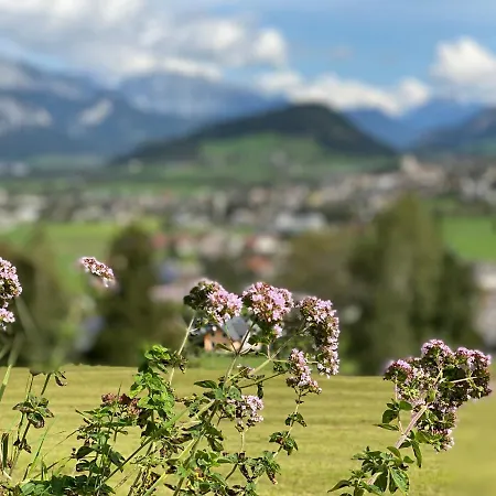 Oase Im Ennstal Classic Landhaus Apartment